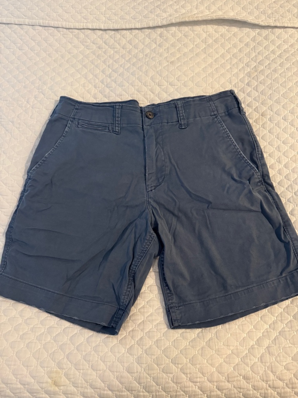 American Eagle Outfitters Slate Blue Flat-Front Men's Shorts